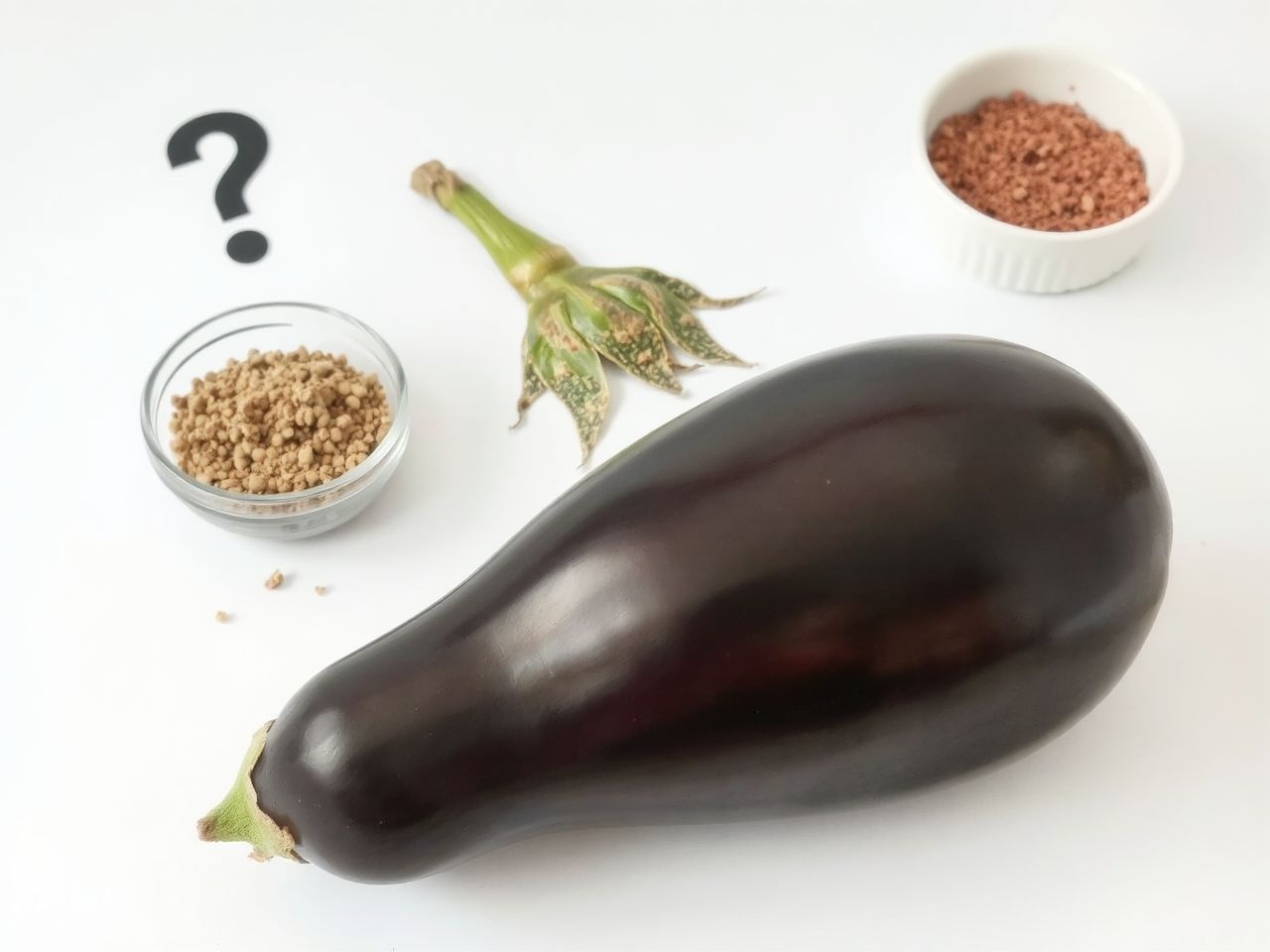 A padlizsán allergia ritka, gyakran összetévesztik más allergiákkal.