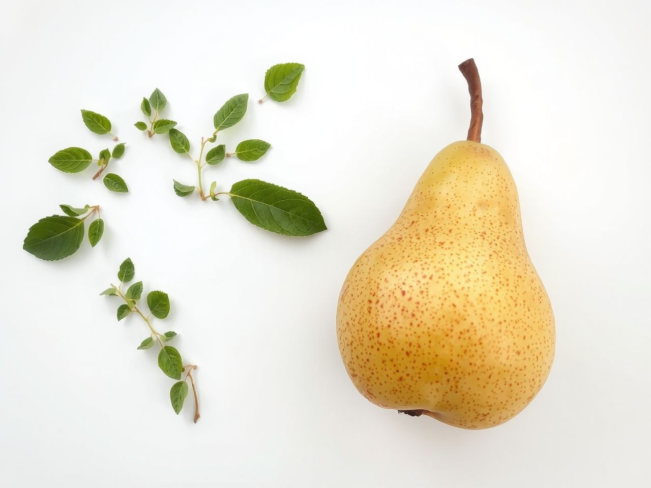 A körte rostjai csökkentik a vérnyomást és javítják a szívet.